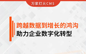 跨越數據到增長的鴻溝，助力企業數字化轉型